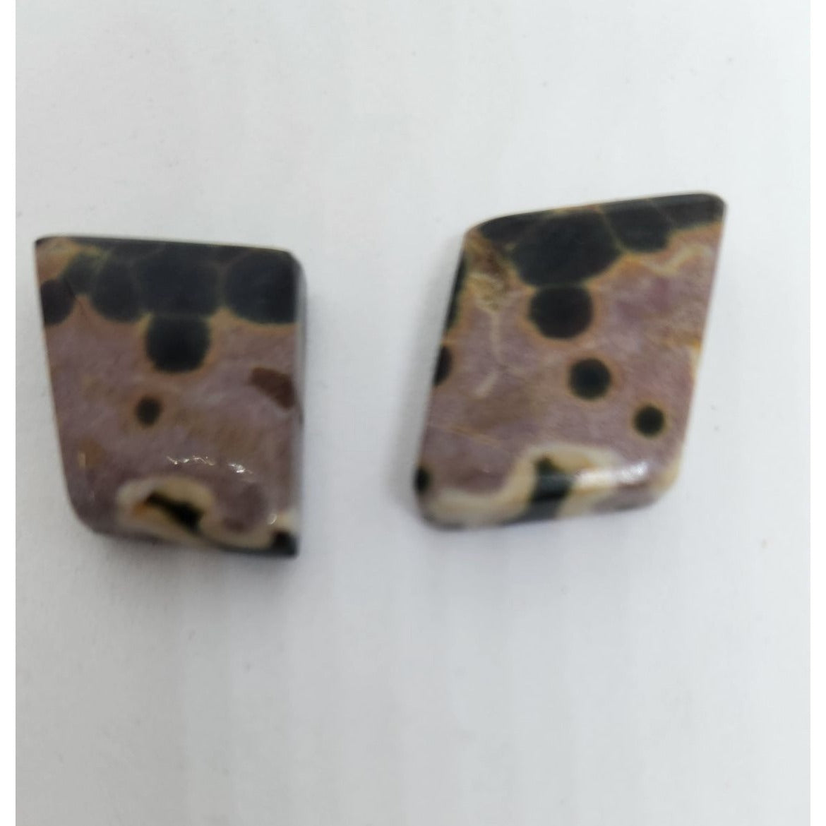 Gemstone Loose Palm Wood Stone Matched Pair Earrings 29 ct  5.7 gr