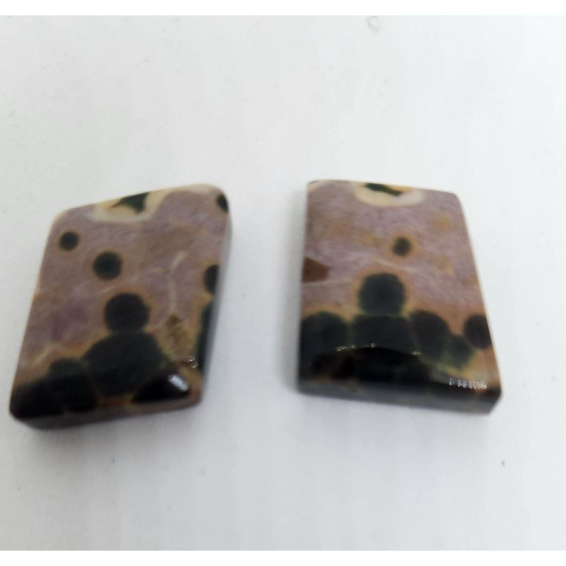 Gemstone Loose Palm Wood Stone Matched Pair Earrings 29 ct  5.7 gr