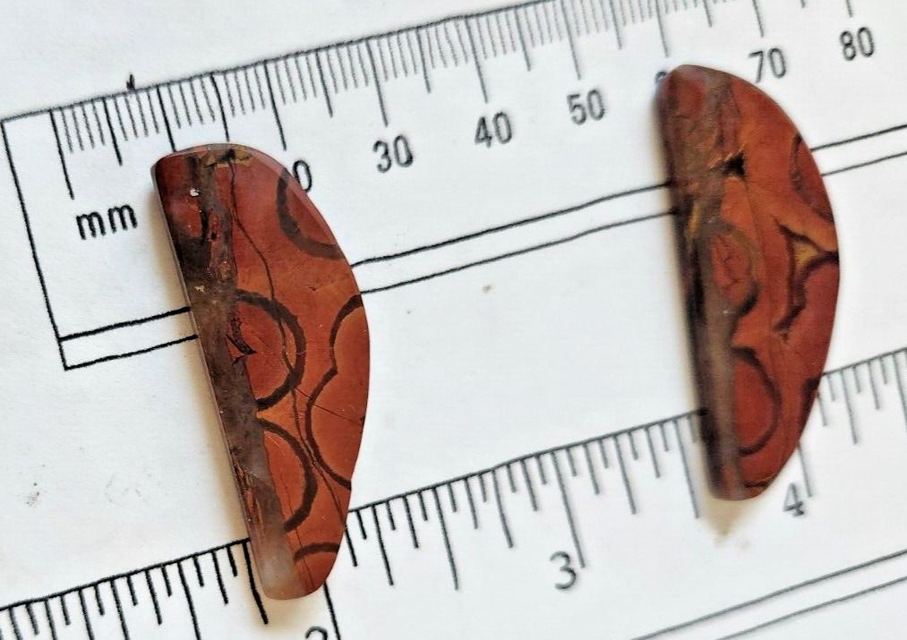 Gemstones Matched Pair Poppy Jasper 10 gr Earrings 50 ct Size 40mm x 10 mm