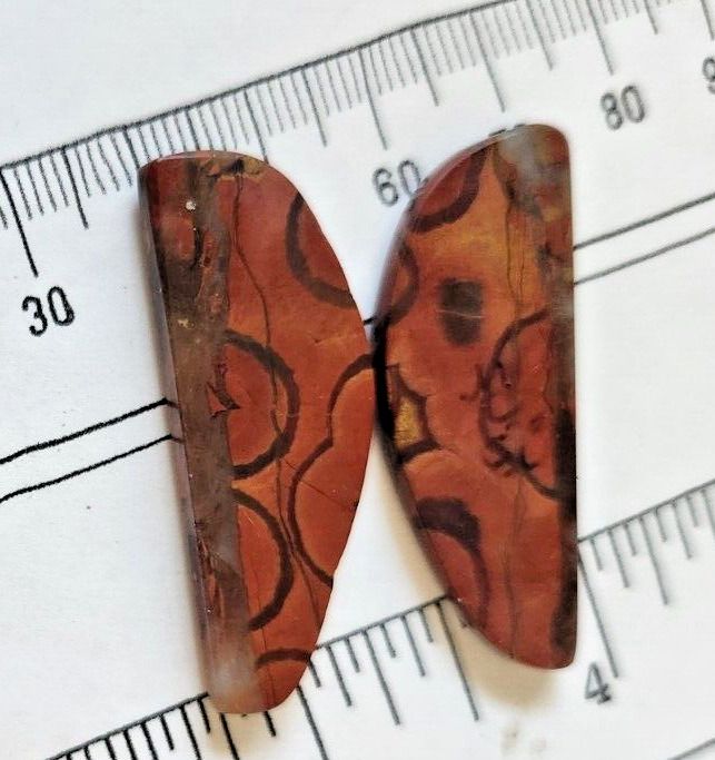 Gemstones Matched Pair Poppy Jasper 10 gr Earrings 50 ct Size 40mm x 10 mm