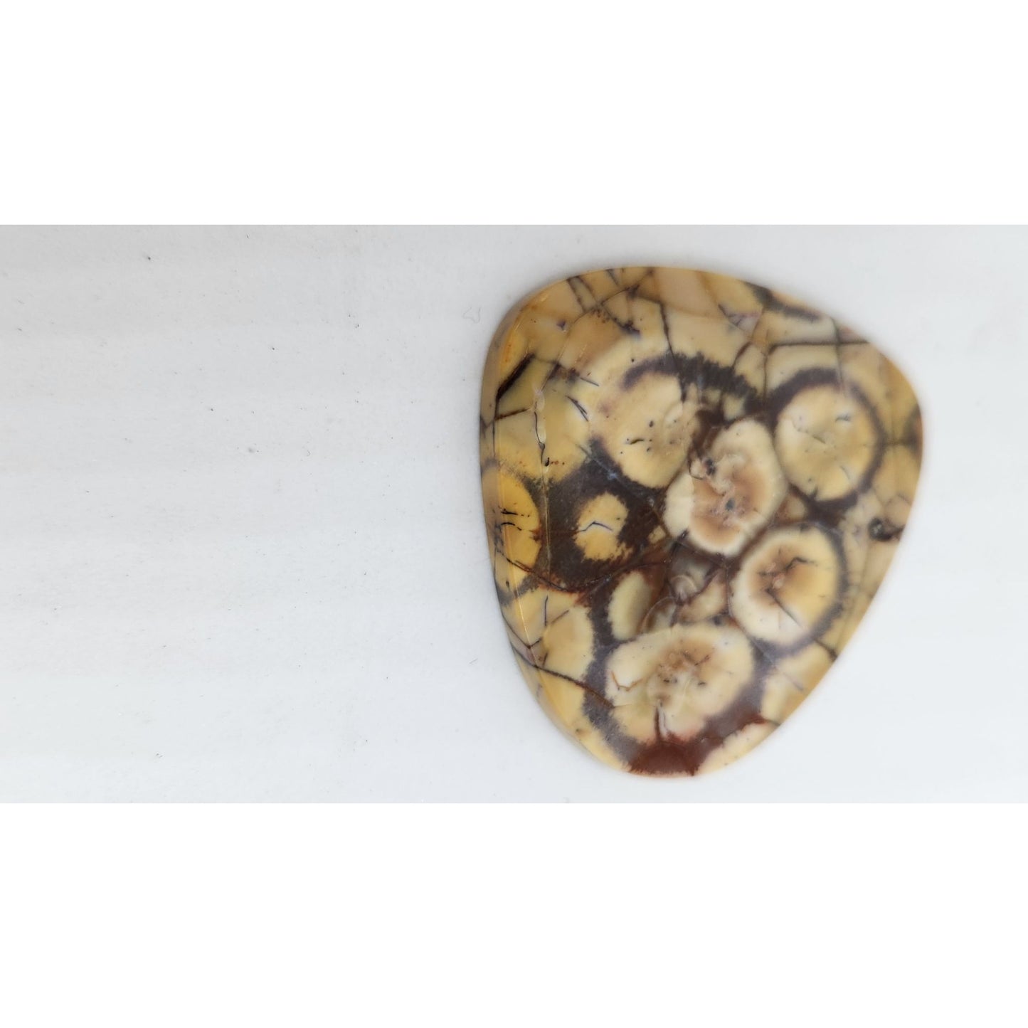 Gemstone Loose Peanut Wood Stone Bracelet  Pendant size  43.5 ct  8.7 gr