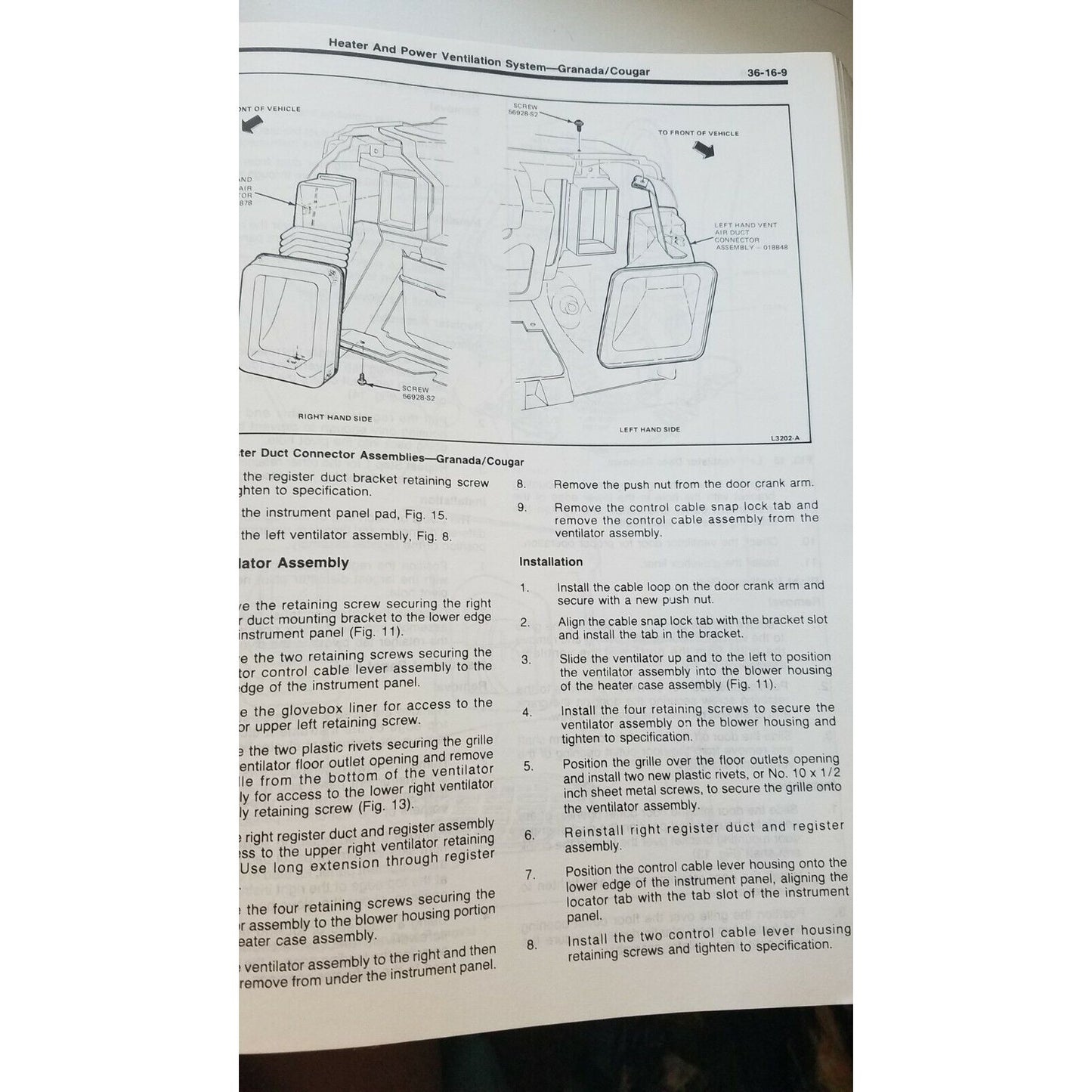 1981 Ford  Car Shop Manual Body Chassis Electrical Thunderbird XR- 7 Mustang