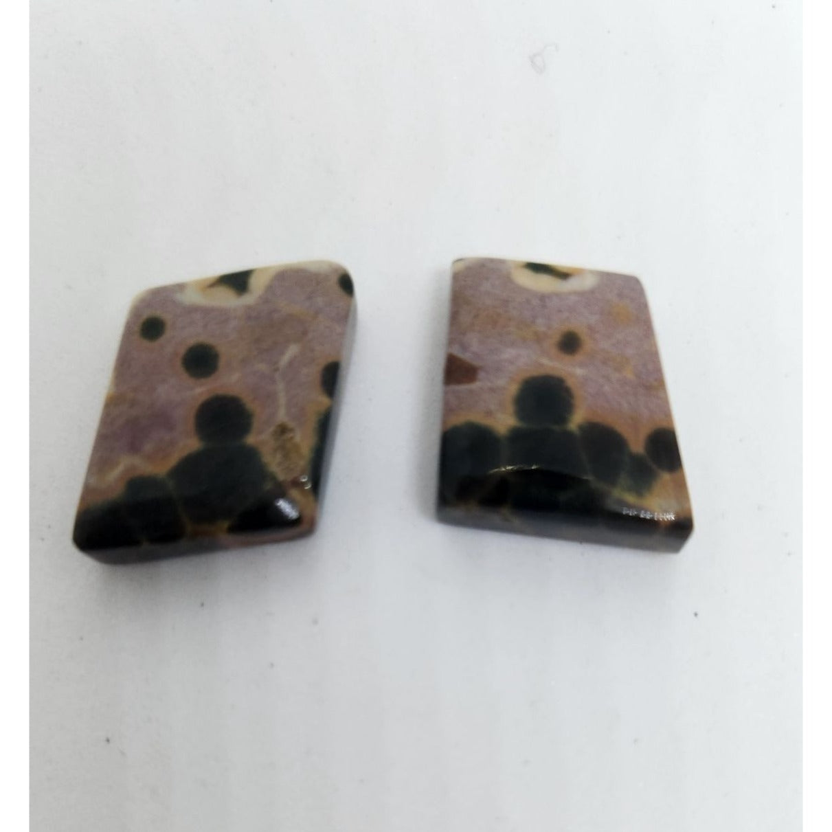 Gemstone Loose Palm Wood Stone Matched Pair Earrings 29 ct  5.7 gr