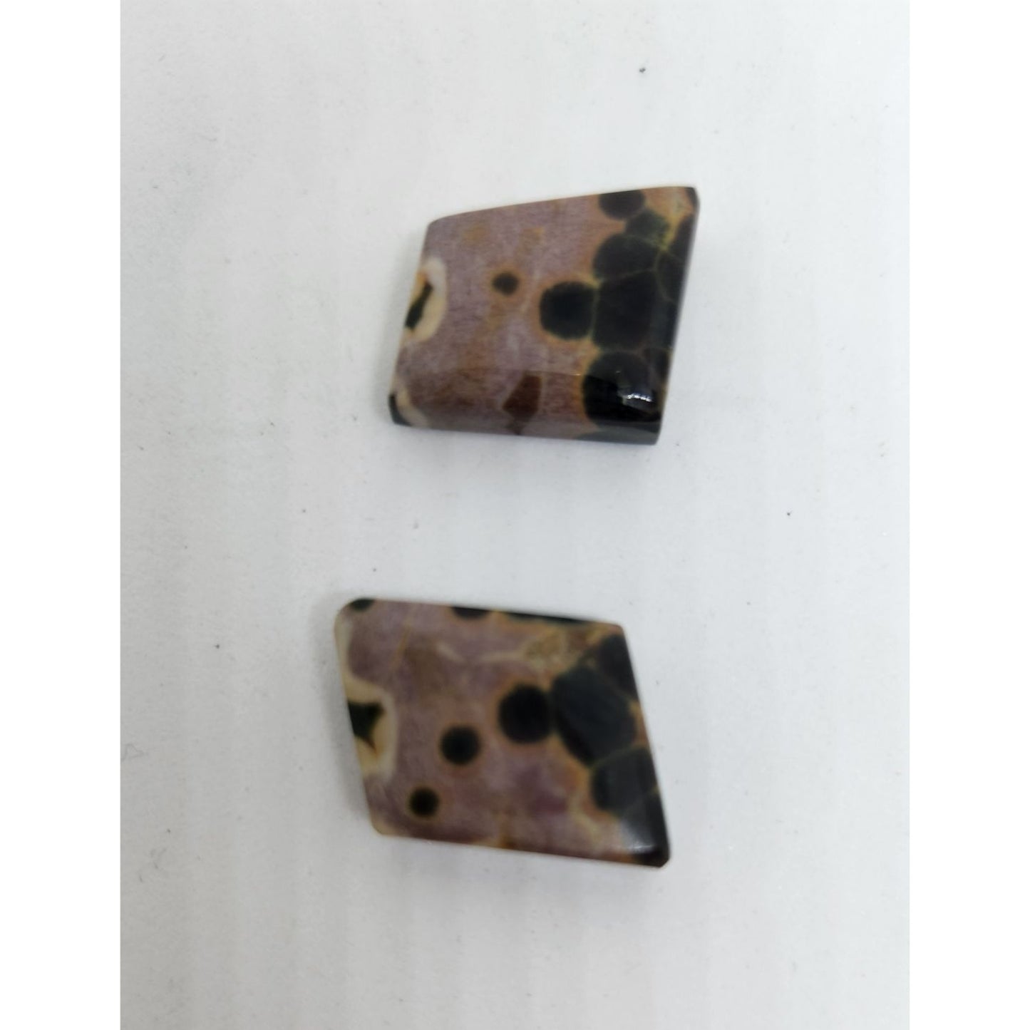 Gemstone Loose Palm Wood Stone Matched Pair Earrings 29 ct  5.7 gr
