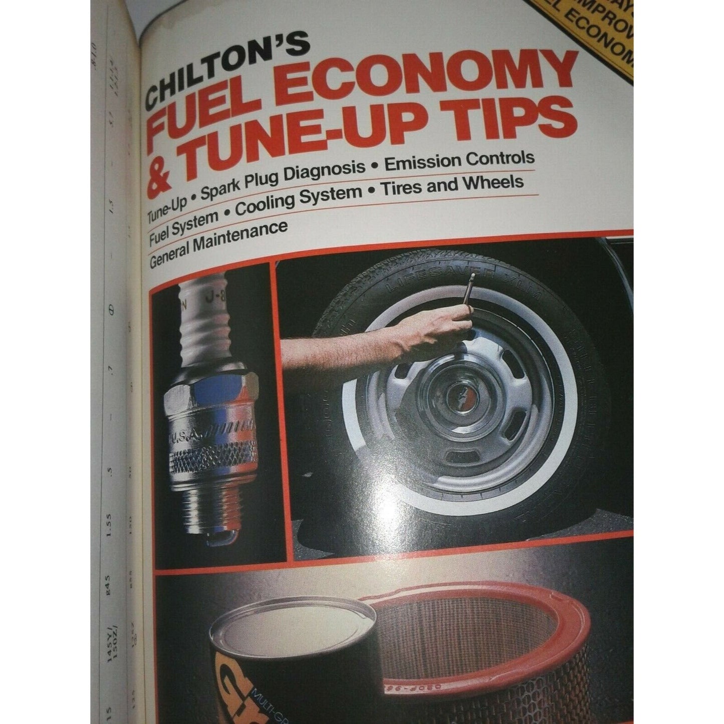 Book 1949 -1971  Volkswagen Chilton's Repair & Tune-Up Guide Beetle Ghia Bus Fastback