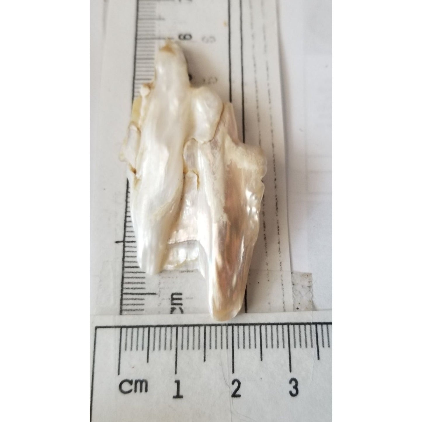 Loose Baroque Double  Stick  Freshwater Keshi 39 ct  7.8 gr  6 cm  x 3 cm
