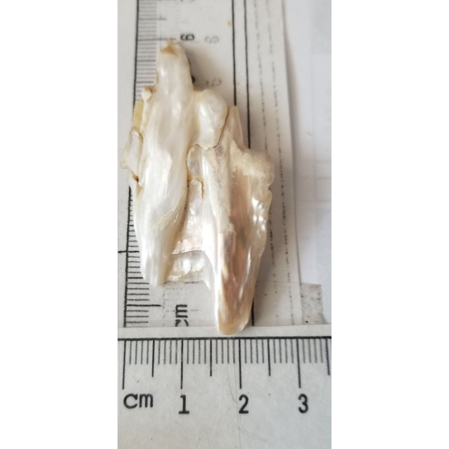 Loose Baroque Double  Stick  Freshwater Keshi 39 ct  7.8 gr  6 cm  x 3 cm