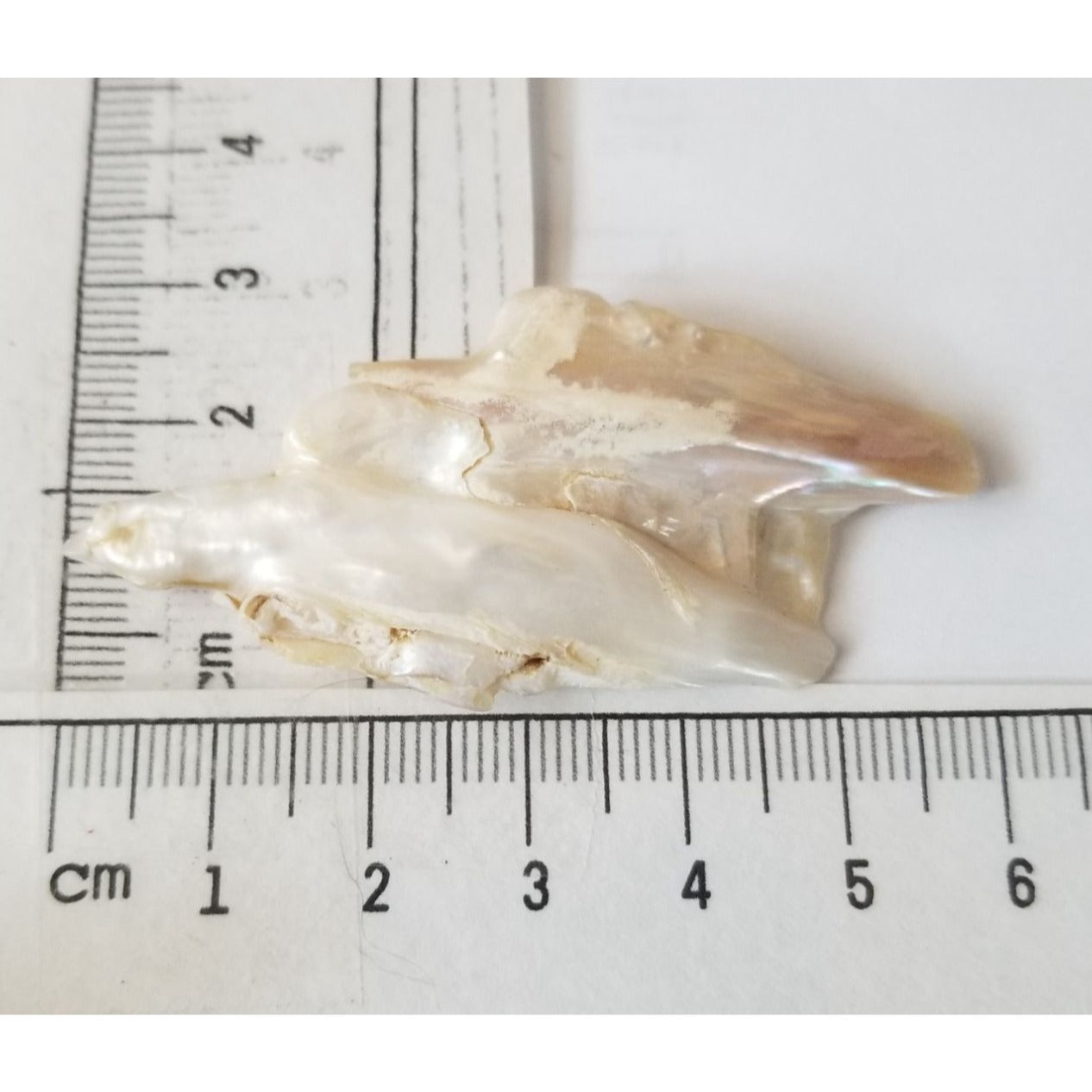 Loose Baroque Double  Stick  Freshwater Keshi 39 ct  7.8 gr  6 cm  x 3 cm