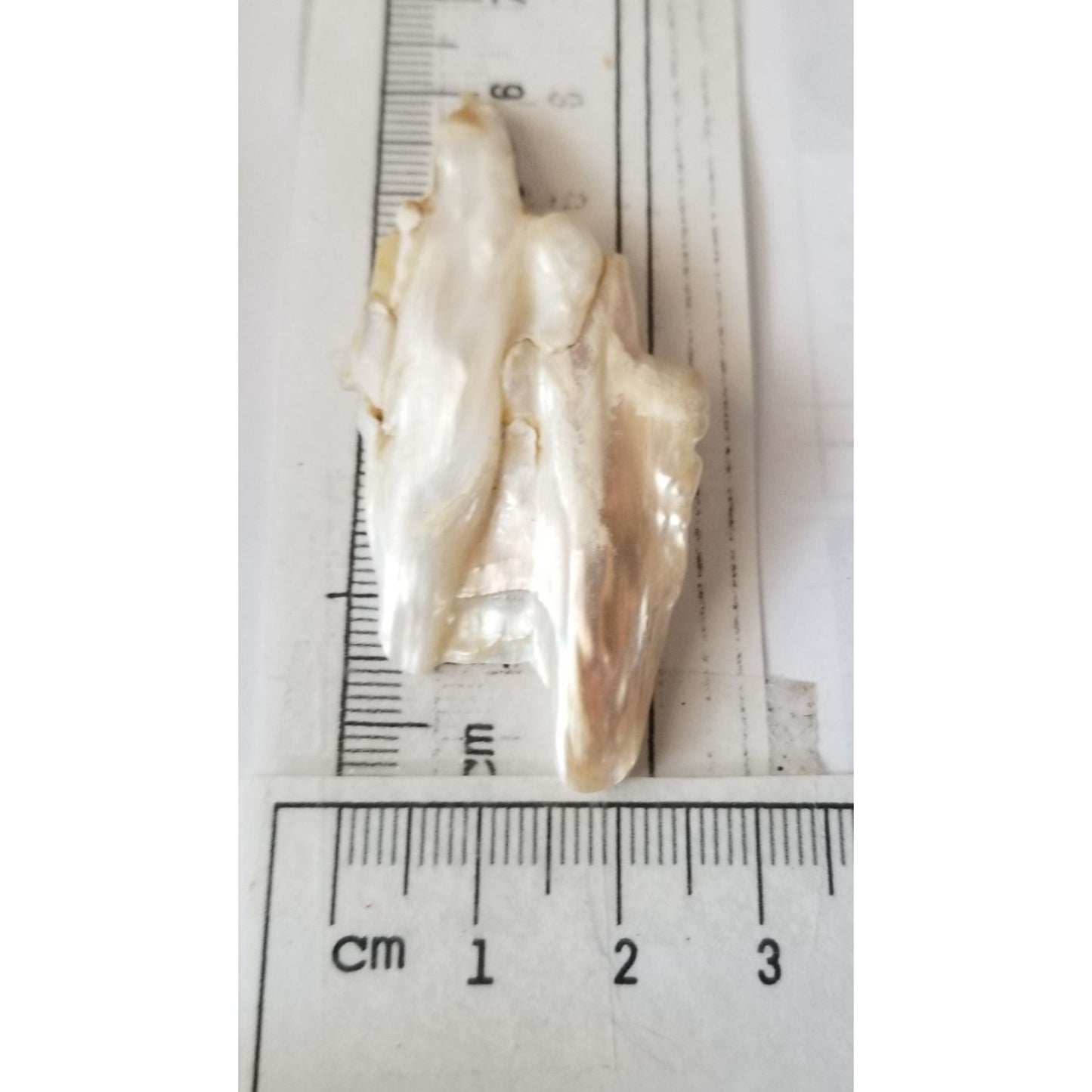 Loose Baroque Double  Stick  Freshwater Keshi 39 ct  7.8 gr  6 cm  x 3 cm