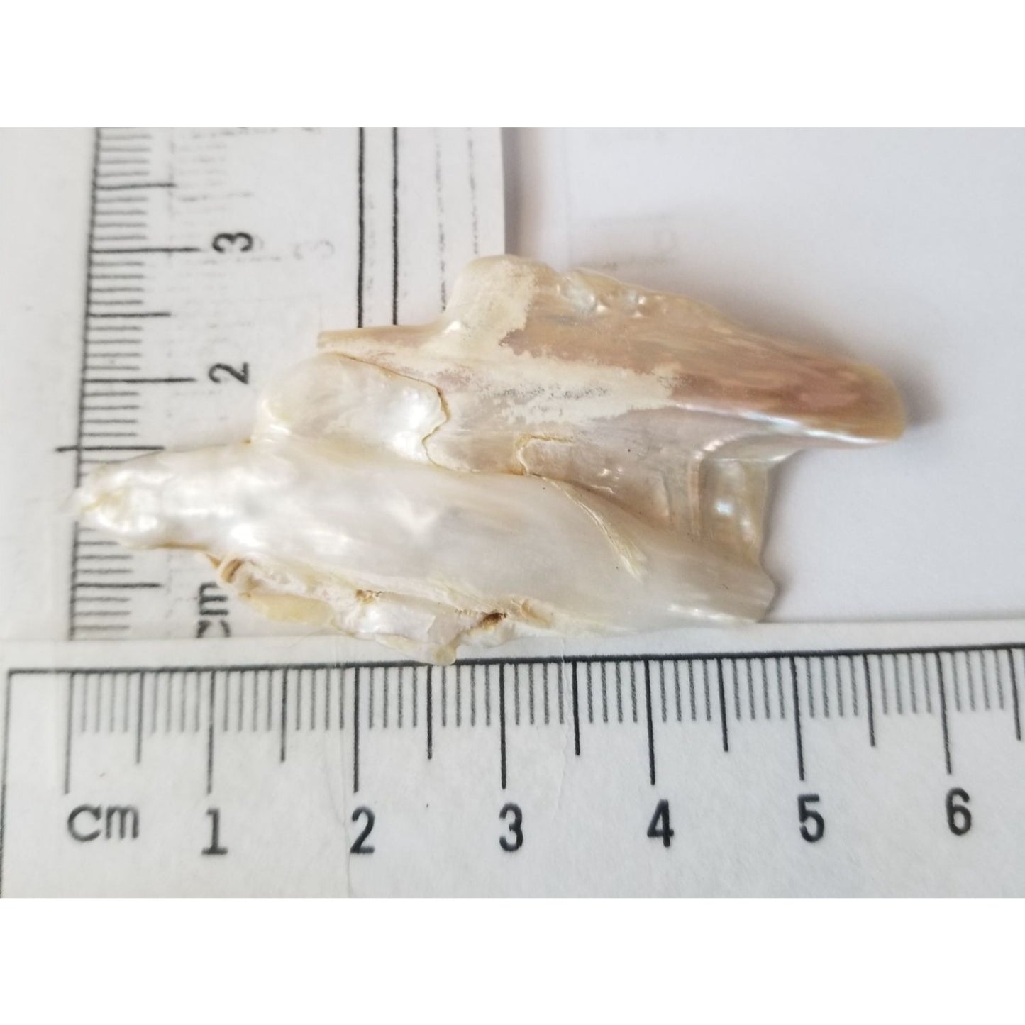 Loose Baroque Double  Stick  Freshwater Keshi 39 ct  7.8 gr  6 cm  x 3 cm
