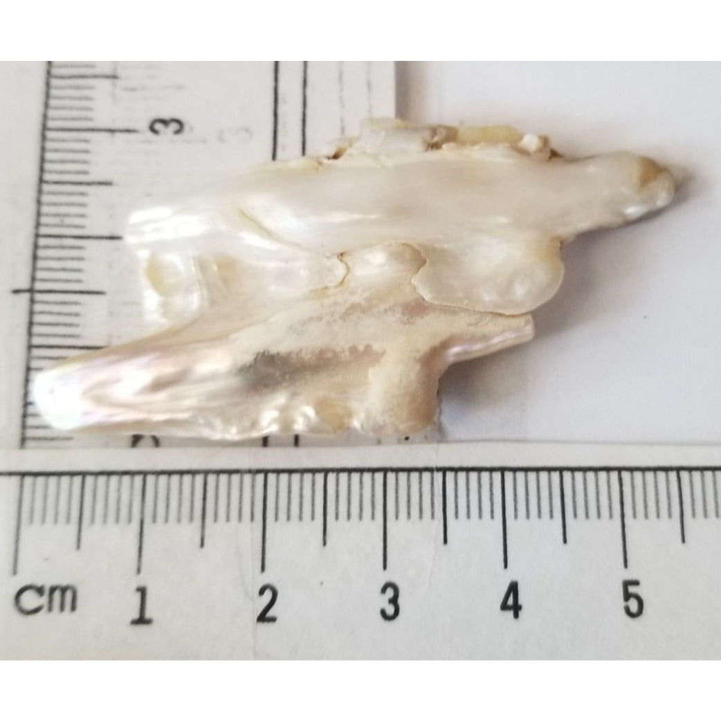 Loose Baroque Double  Stick  Freshwater Keshi 39 ct  7.8 gr  6 cm  x 3 cm