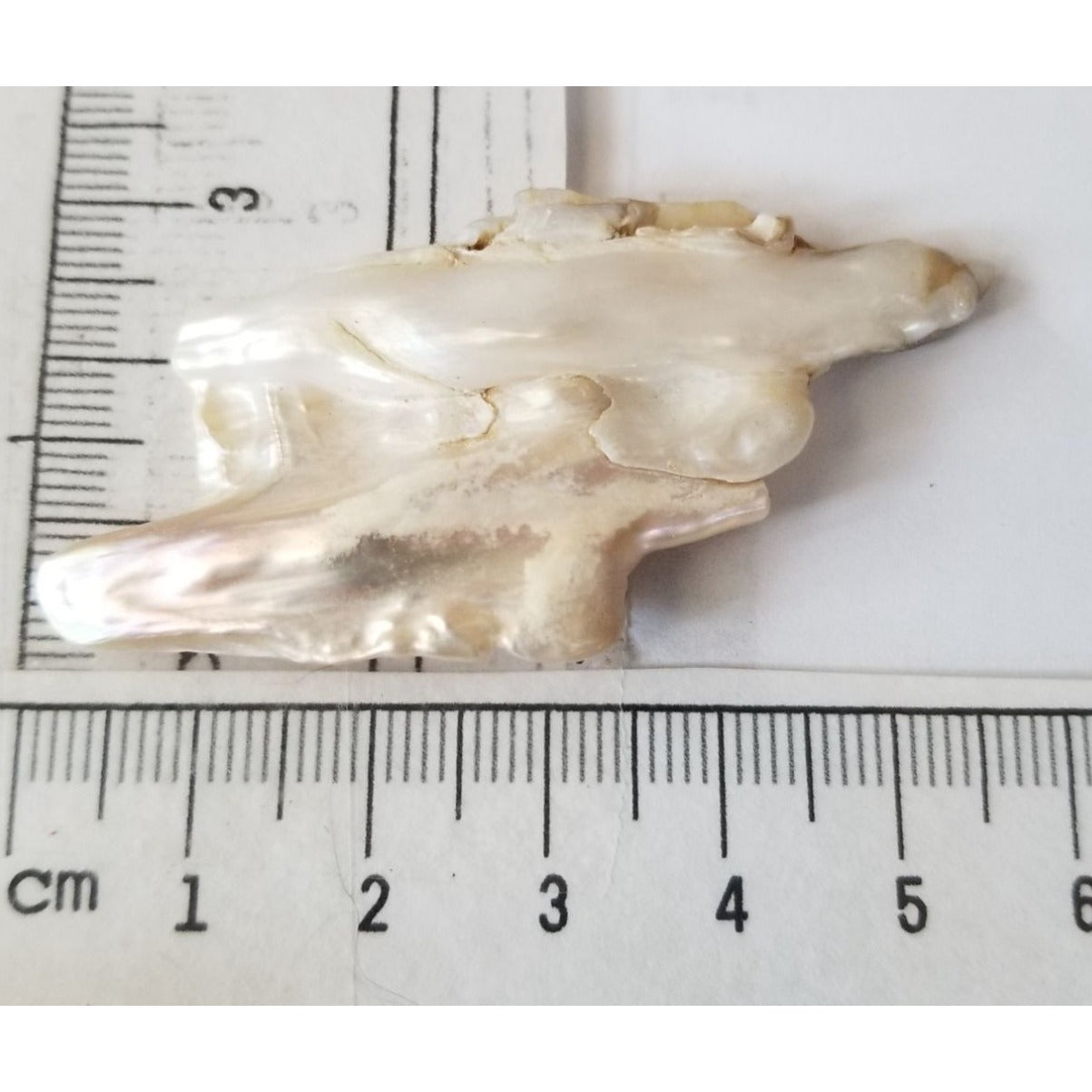 Loose Baroque Double  Stick  Freshwater Keshi 39 ct  7.8 gr  6 cm  x 3 cm