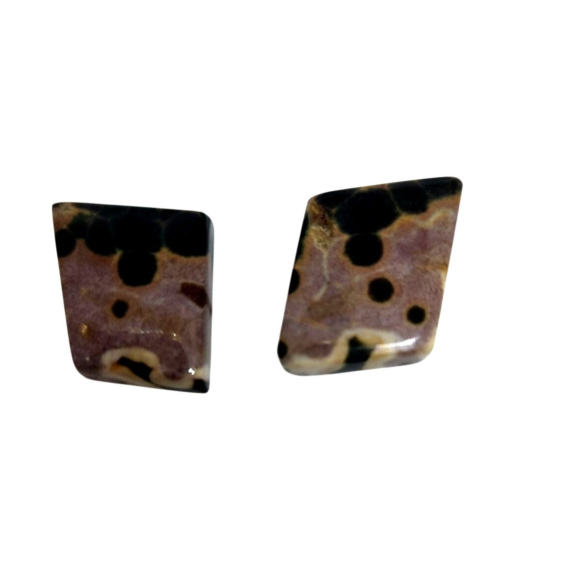 Gemstone Loose Palm Wood Stone Matched Pair Earrings 29 ct  5.7 gr