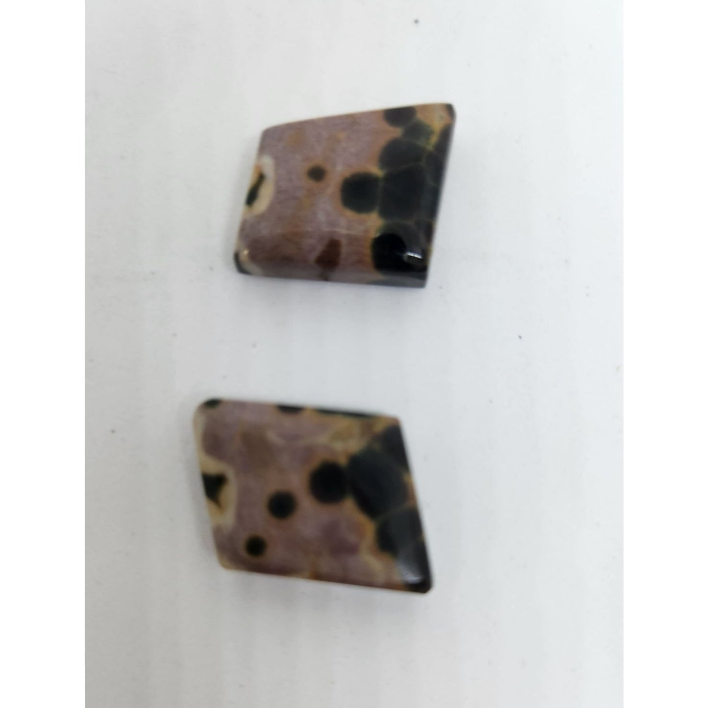 Gemstone Loose Palm Wood Stone Matched Pair Earrings 29 ct  5.7 gr