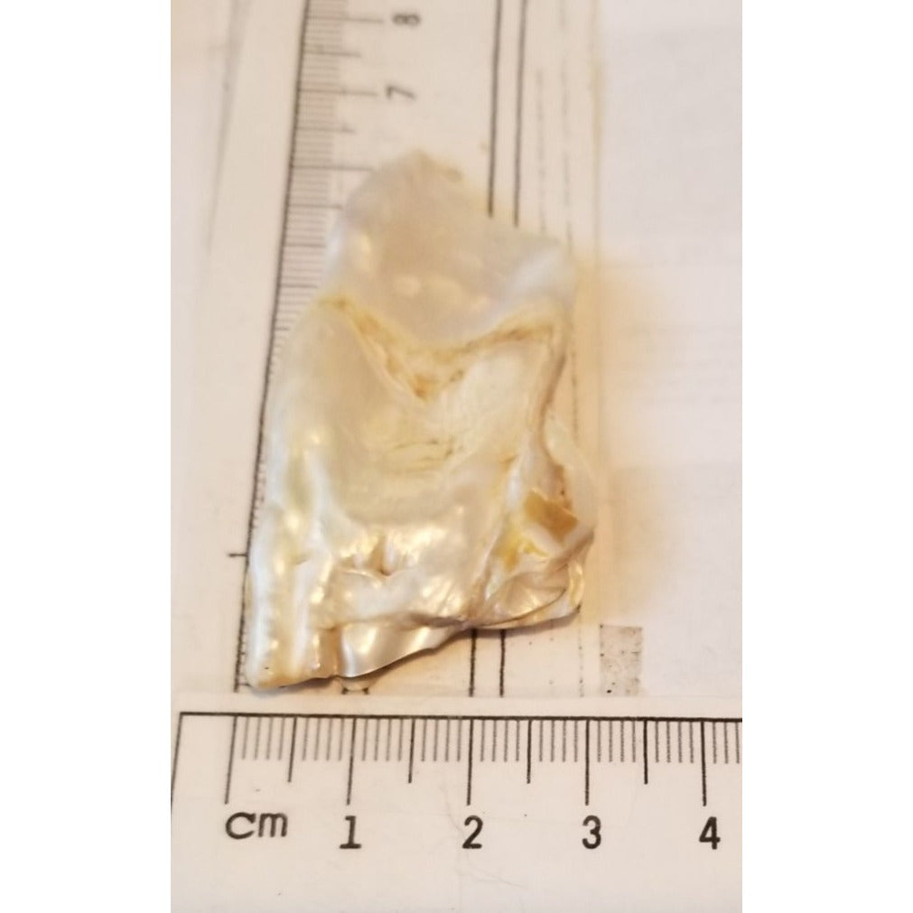 Loose Baroque Rectangle  Freshwater Keshi 50  ct  100  gr  6 cm  x 3 cm Real Natural