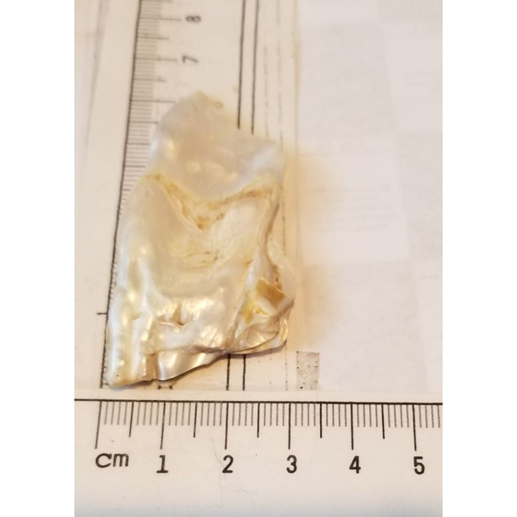 Loose Baroque Rectangle  Freshwater Keshi 50  ct  100  gr  6 cm  x 3 cm Real Natural