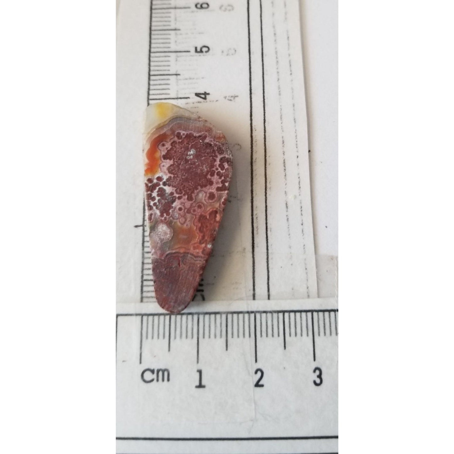 Loose Gemstone Crazy Lace Agate 2cm x 4cm 19.5 ct  3.8 gr Red White Brown
