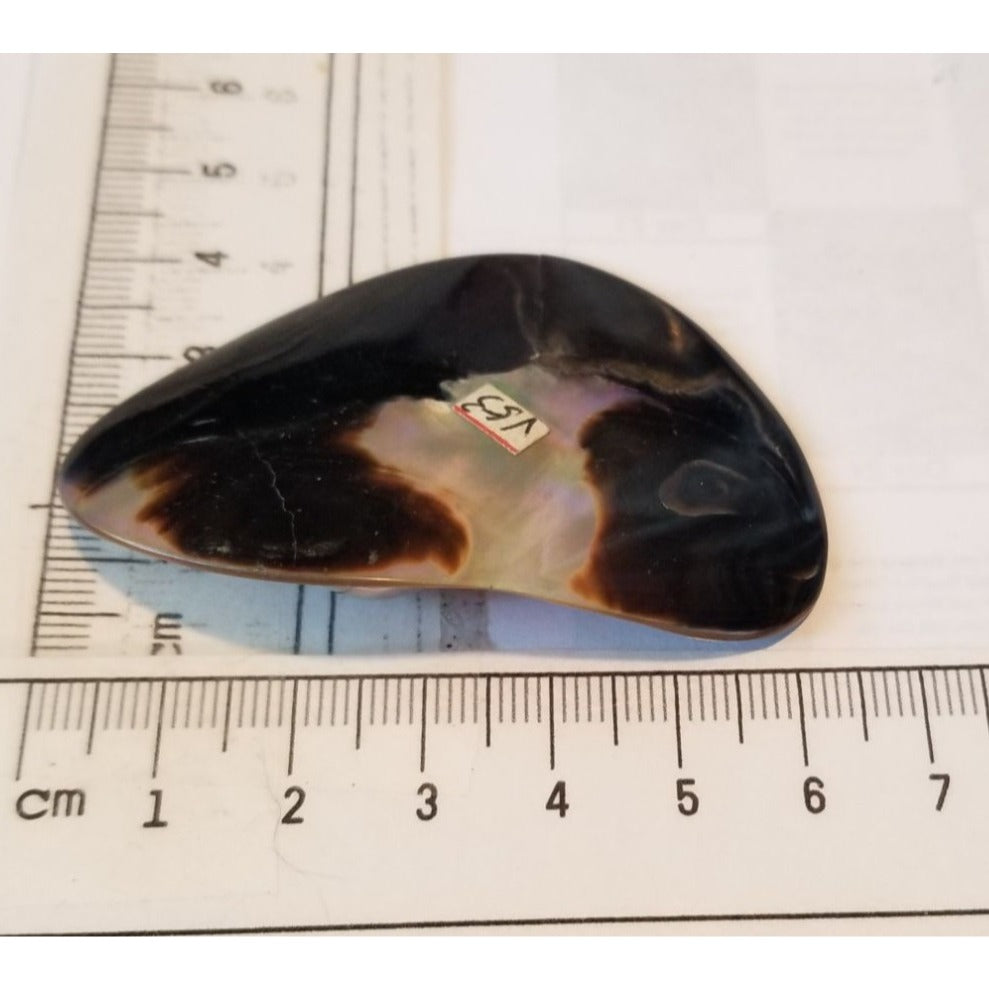 Loose Half Pearl Shell Mabe Blister Pearl in Shell Tahitiam 62.5  ct  12.3   gr  7.5 cm  x 4 cm