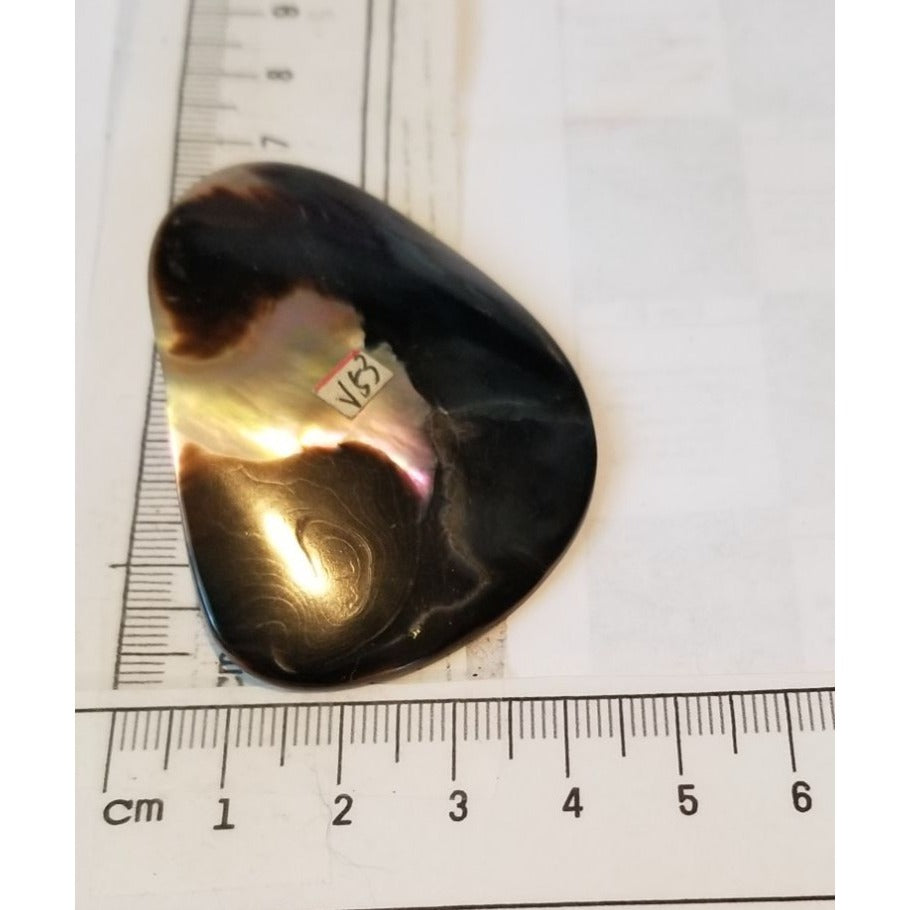 Loose Half Pearl Shell Mabe Blister Pearl in Shell Tahitiam 62.5  ct  12.3   gr  7.5 cm  x 4 cm