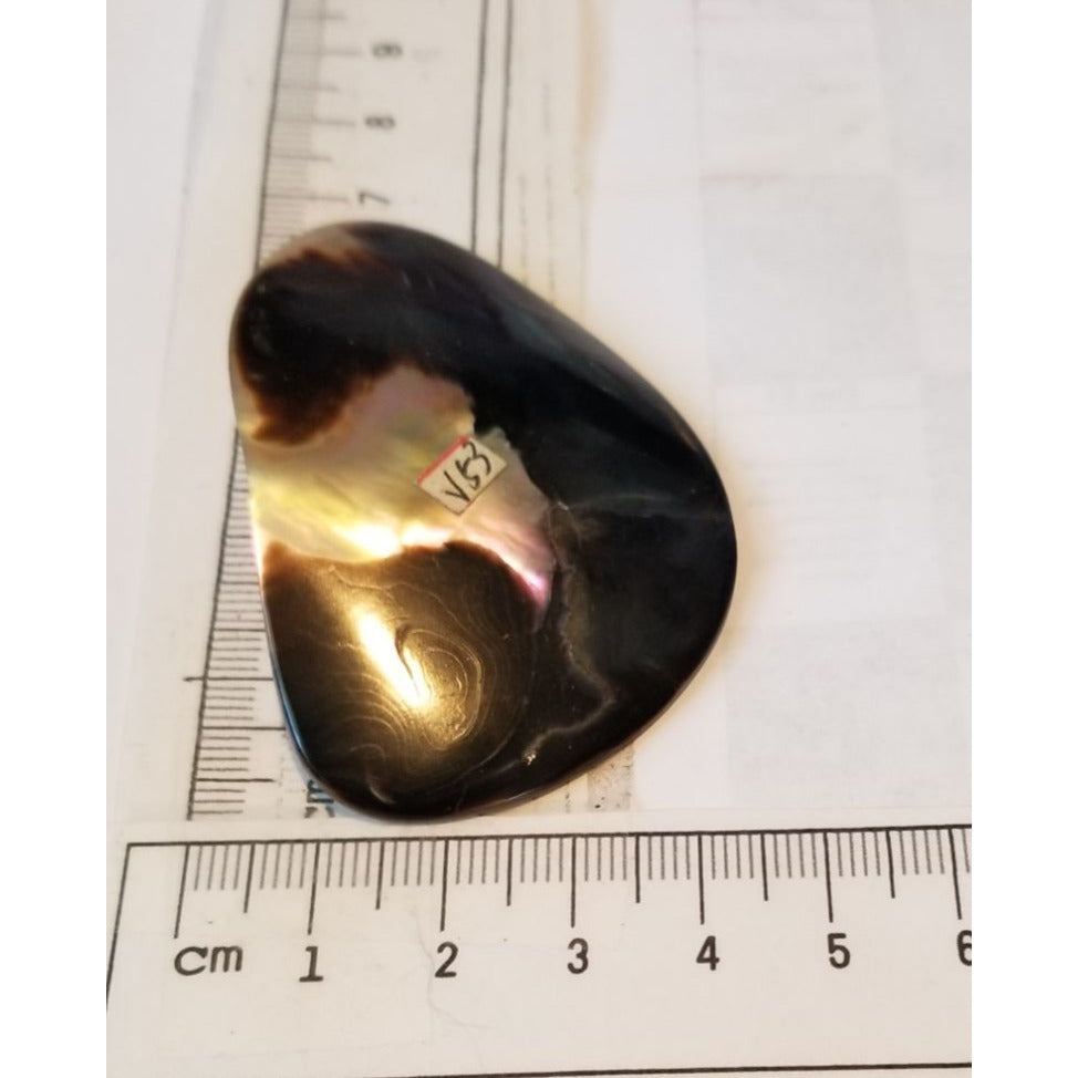 Loose Half Pearl Shell Mabe Blister Pearl in Shell Tahitiam 62.5  ct  12.3   gr  7.5 cm  x 4 cm