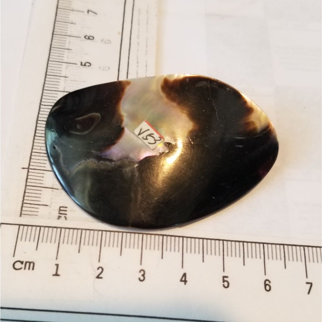 Loose Half Pearl Shell Mabe Blister Pearl in Shell Tahitiam 62.5  ct  12.3   gr  7.5 cm  x 4 cm
