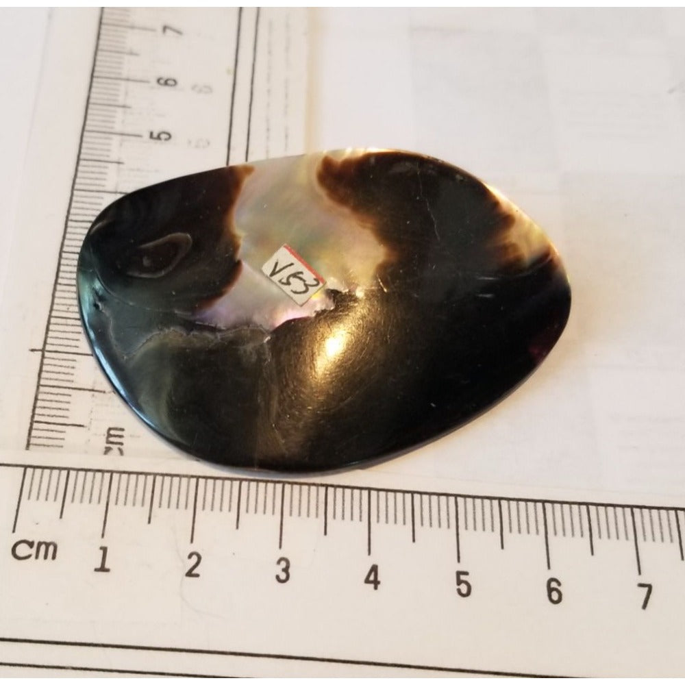 Loose Half Pearl Shell Mabe Blister Pearl in Shell Tahitiam 62.5  ct  12.3   gr  7.5 cm  x 4 cm