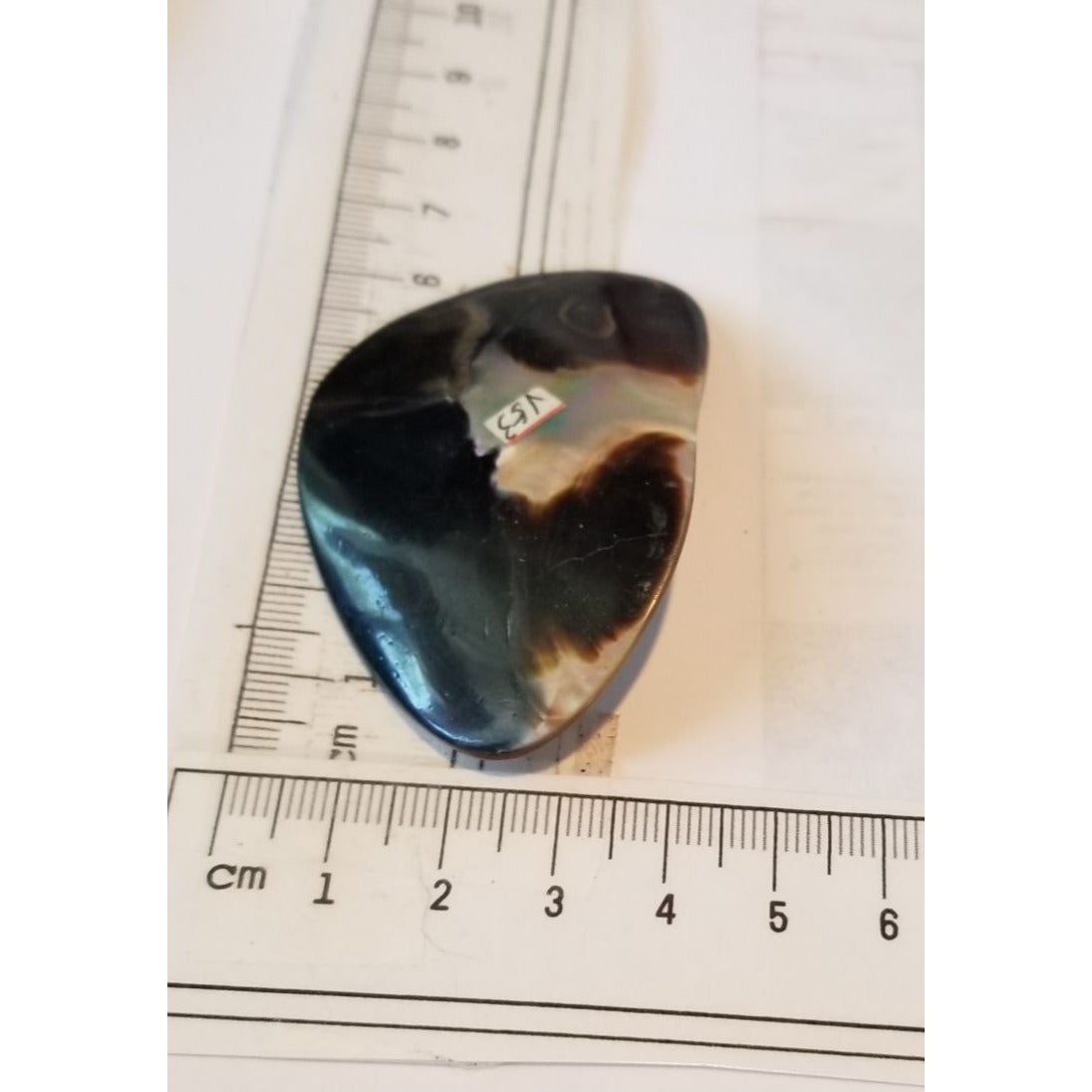 Loose Half Pearl Shell Mabe Blister Pearl in Shell Tahitiam 62.5  ct  12.3   gr  7.5 cm  x 4 cm