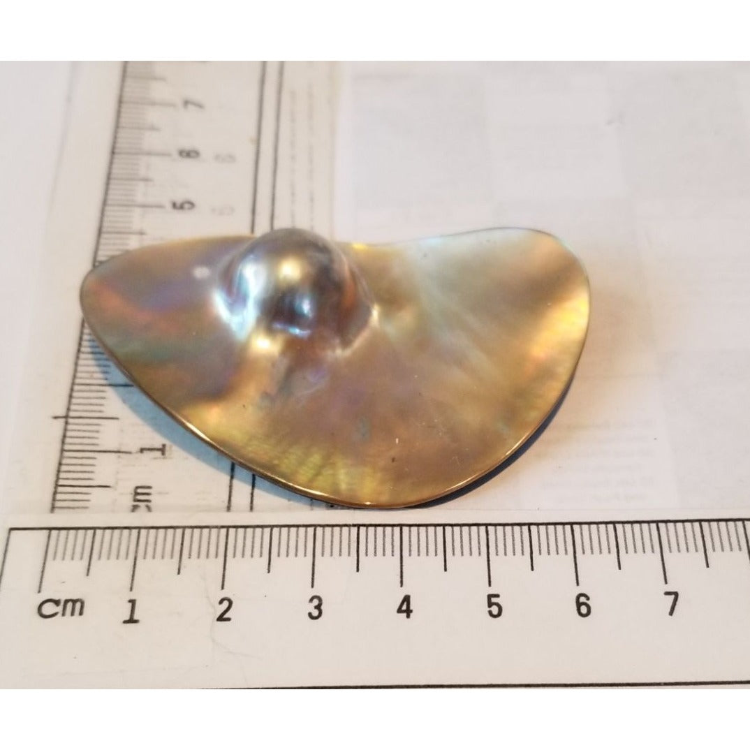 Loose Half Pearl Shell Mabe Blister Pearl in Shell Tahitiam 62.5  ct  12.3   gr  7.5 cm  x 4 cm