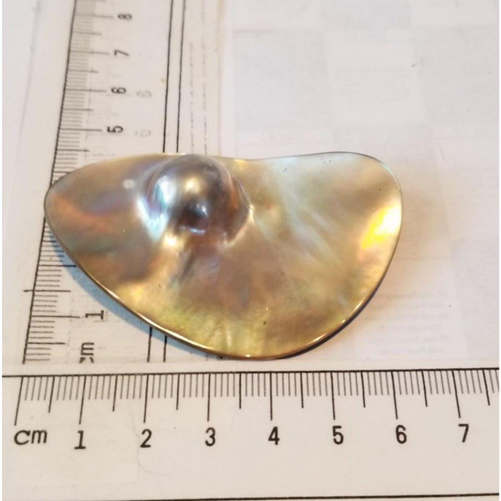 Loose Half Pearl Shell Mabe Blister Pearl in Shell Tahitiam 62.5  ct  12.3   gr  7.5 cm  x 4 cm