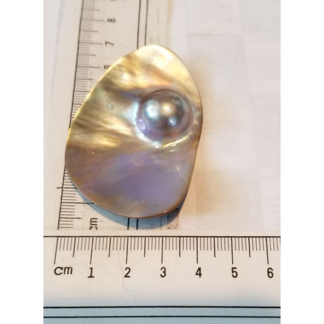 Loose Half Pearl Shell Mabe Blister Pearl in Shell Tahitiam 62.5  ct  12.3   gr  7.5 cm  x 4 cm