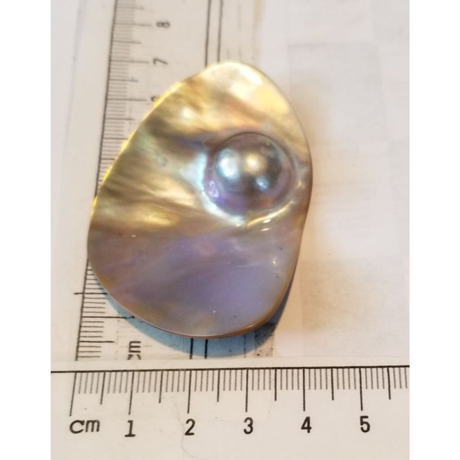 Loose Half Pearl Shell Mabe Blister Pearl in Shell Tahitiam 62.5  ct  12.3   gr  7.5 cm  x 4 cm