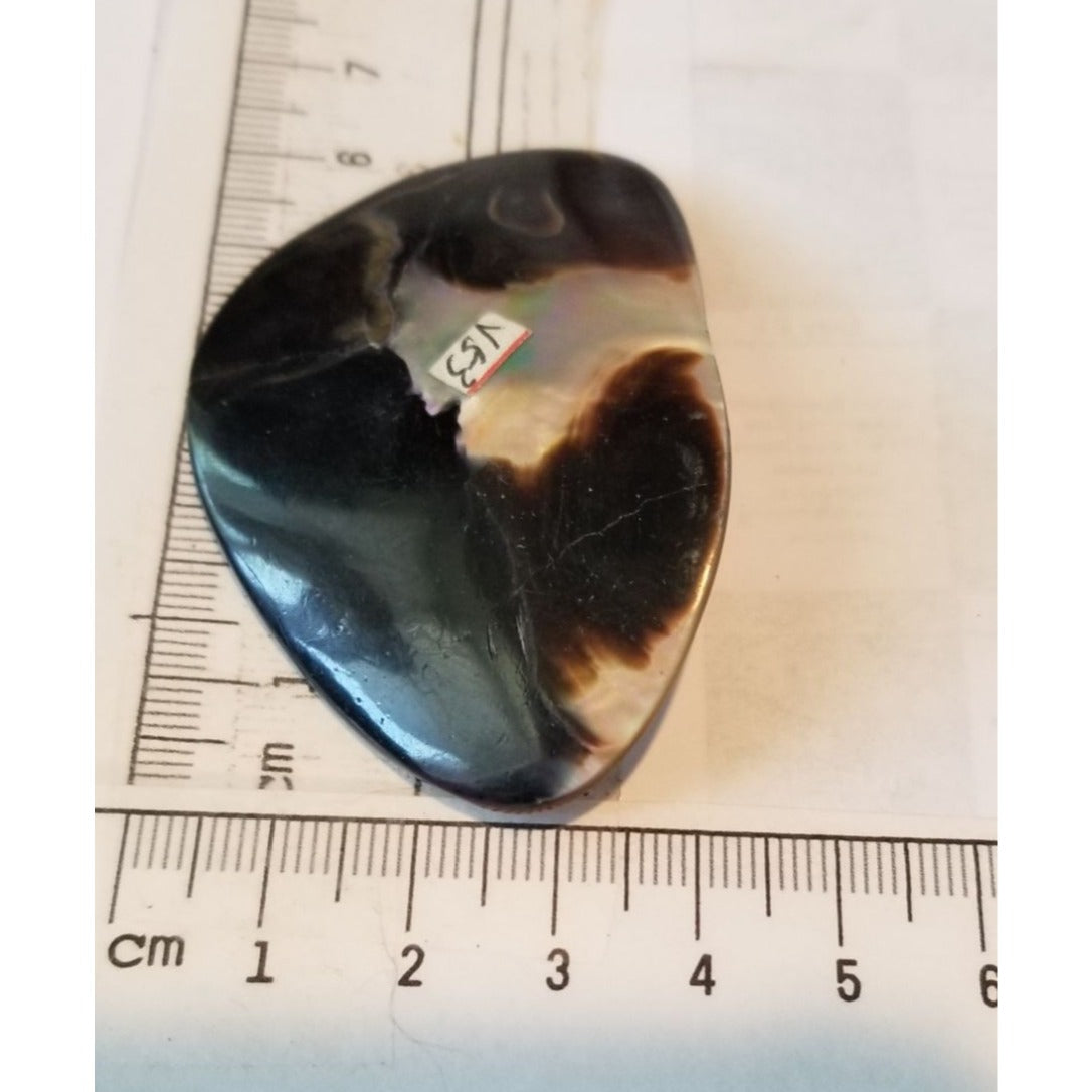 Loose Half Pearl Shell Mabe Blister Pearl in Shell Tahitiam 62.5  ct  12.3   gr  7.5 cm  x 4 cm