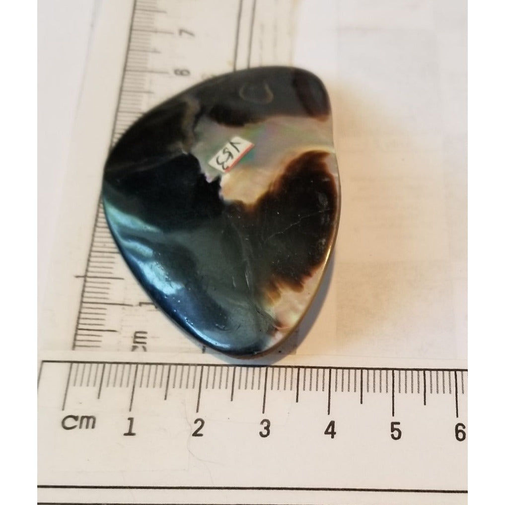 Loose Half Pearl Shell Mabe Blister Pearl in Shell Tahitiam 62.5  ct  12.3   gr  7.5 cm  x 4 cm
