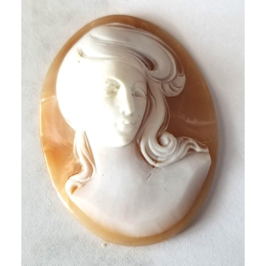 Pendant  Cameo  6.5 gr32.5  ct 3  cm  x 4.5 cm Plastic  Dual Color