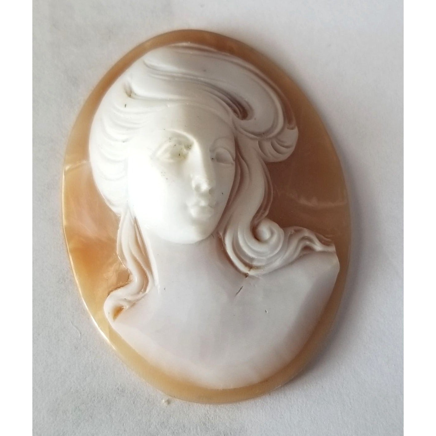 Pendant  Cameo  6.5 gr32.5  ct 3  cm  x 4.5 cm Plastic  Dual Color