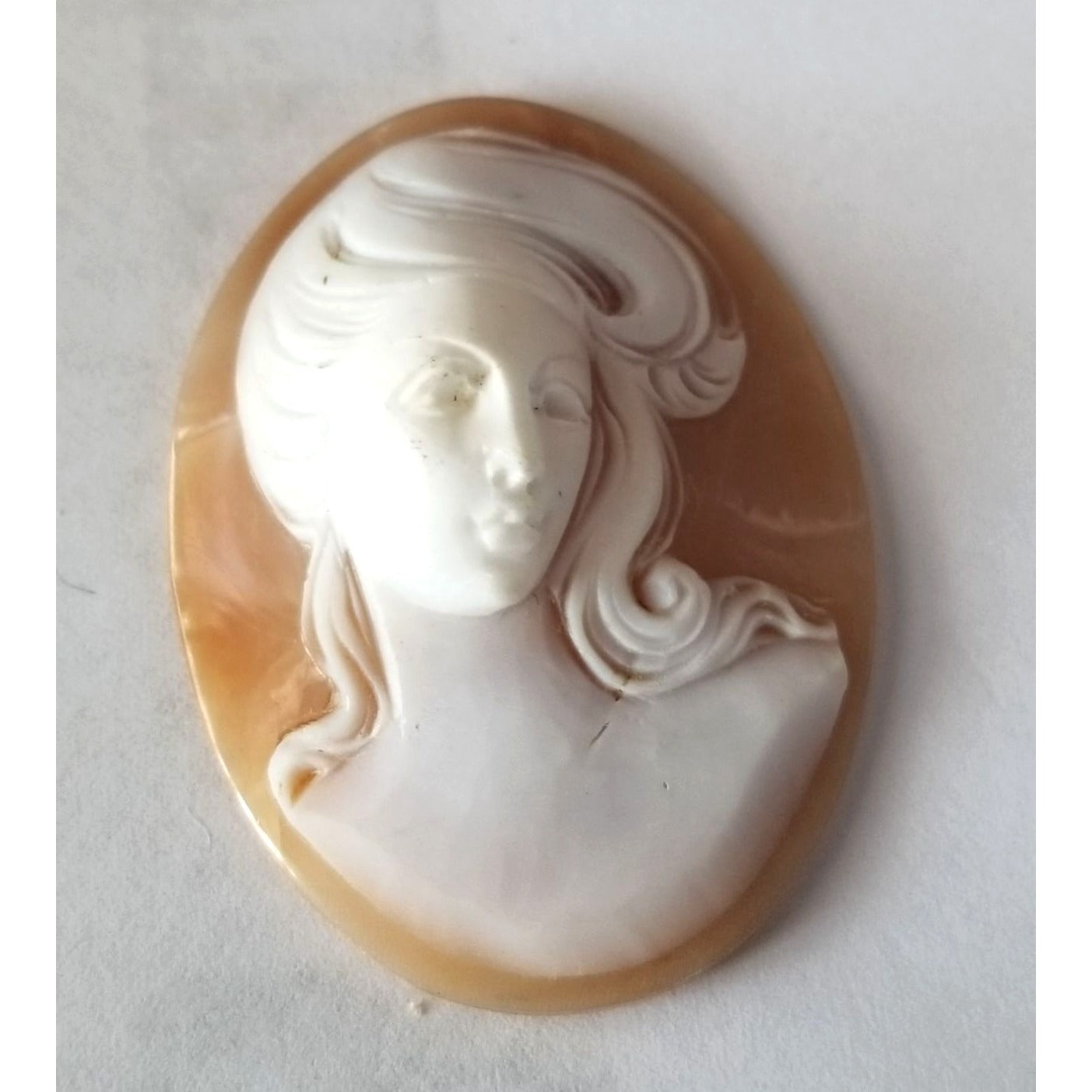Pendant  Cameo  6.5 gr32.5  ct 3  cm  x 4.5 cm Plastic  Dual Color