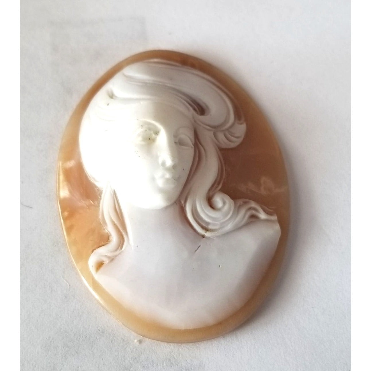 Pendant  Cameo  6.5 gr32.5  ct 3  cm  x 4.5 cm Plastic  Dual Color