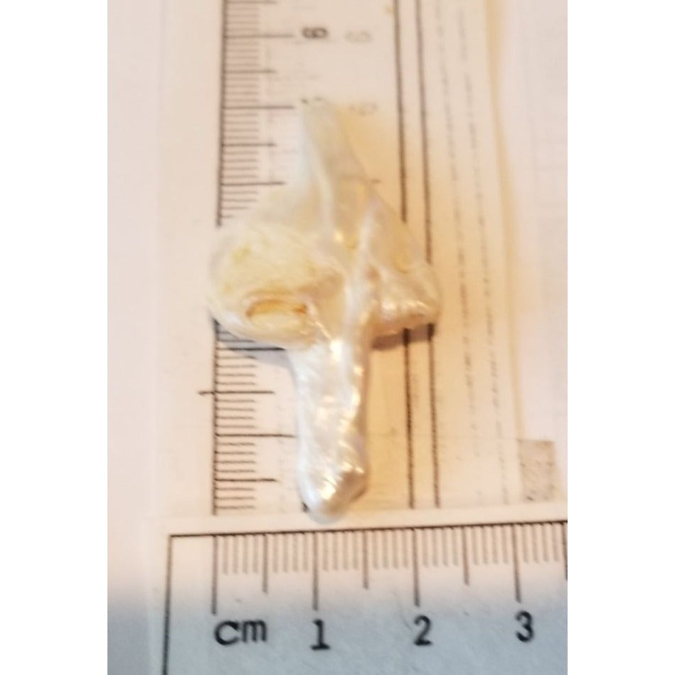 Loose Baroque Arrow Freshwater Keshi 25.5 ct  5.1 gr  6 cm  x 3 .5 cm