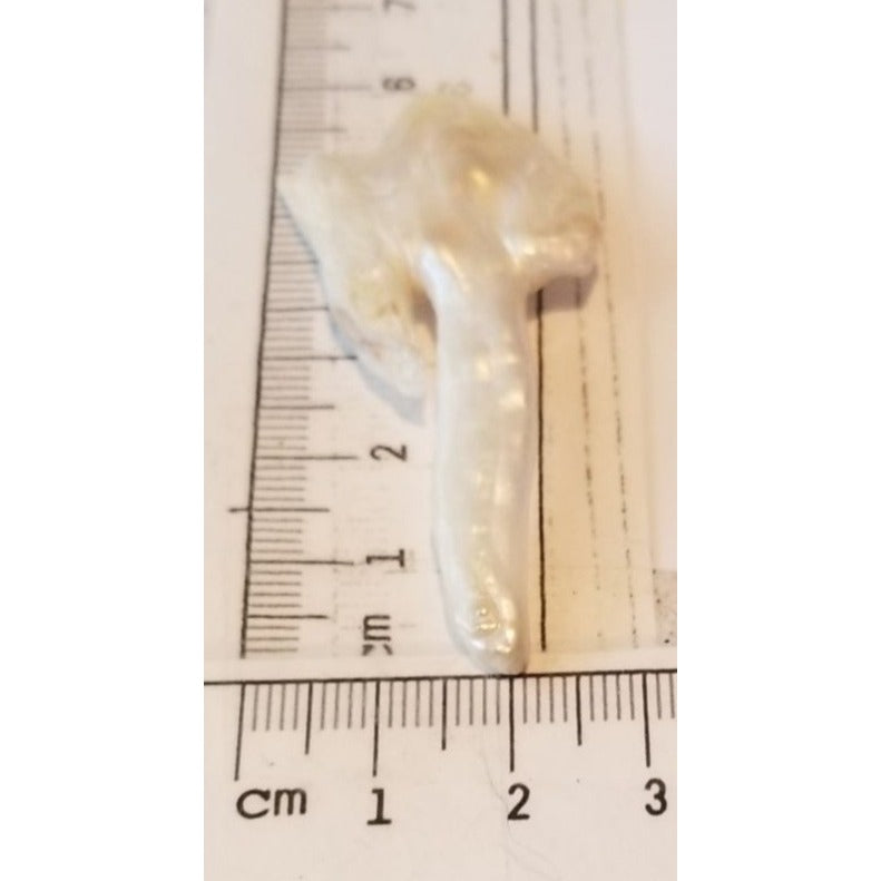 Loose Baroque Arrow Freshwater Keshi 25.5 ct  5.1 gr  6 cm  x 3 .5 cm