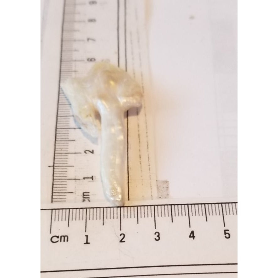 Loose Baroque Arrow Freshwater Keshi 25.5 ct  5.1 gr  6 cm  x 3 .5 cm