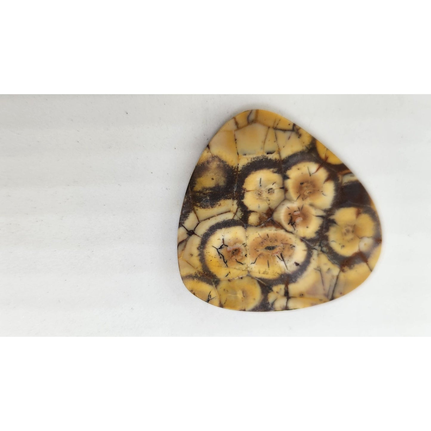 Gemstone Loose Peanut Wood Stone Bracelet  Pendant size  43.5 ct  8.7 gr