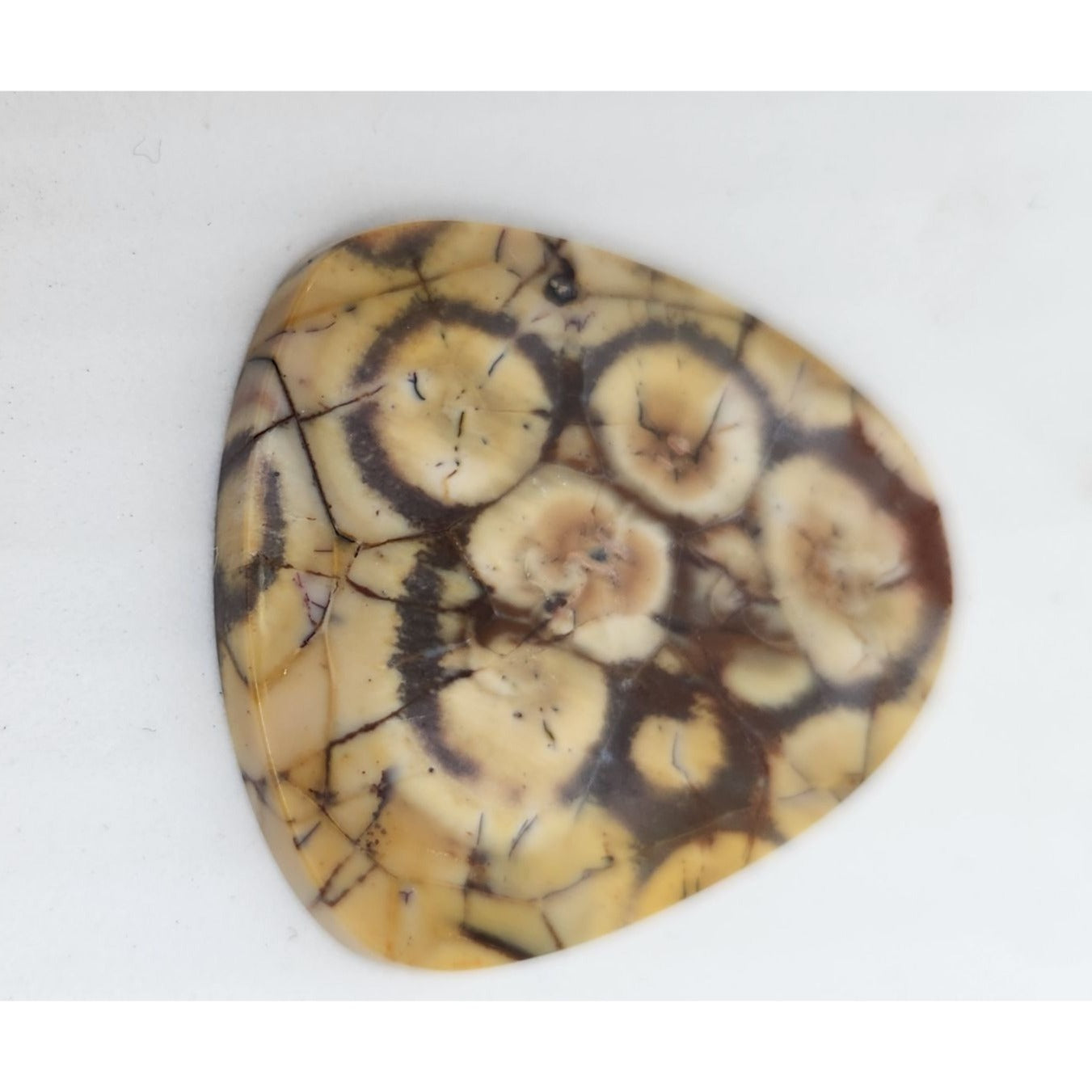 Gemstone Loose Peanut Wood Stone Bracelet  Pendant size  43.5 ct  8.7 gr