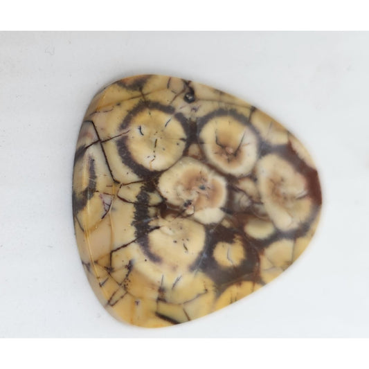 Gemstone Loose Peanut Wood Stone Bracelet  Pendant size  43.5 ct  8.7 gr