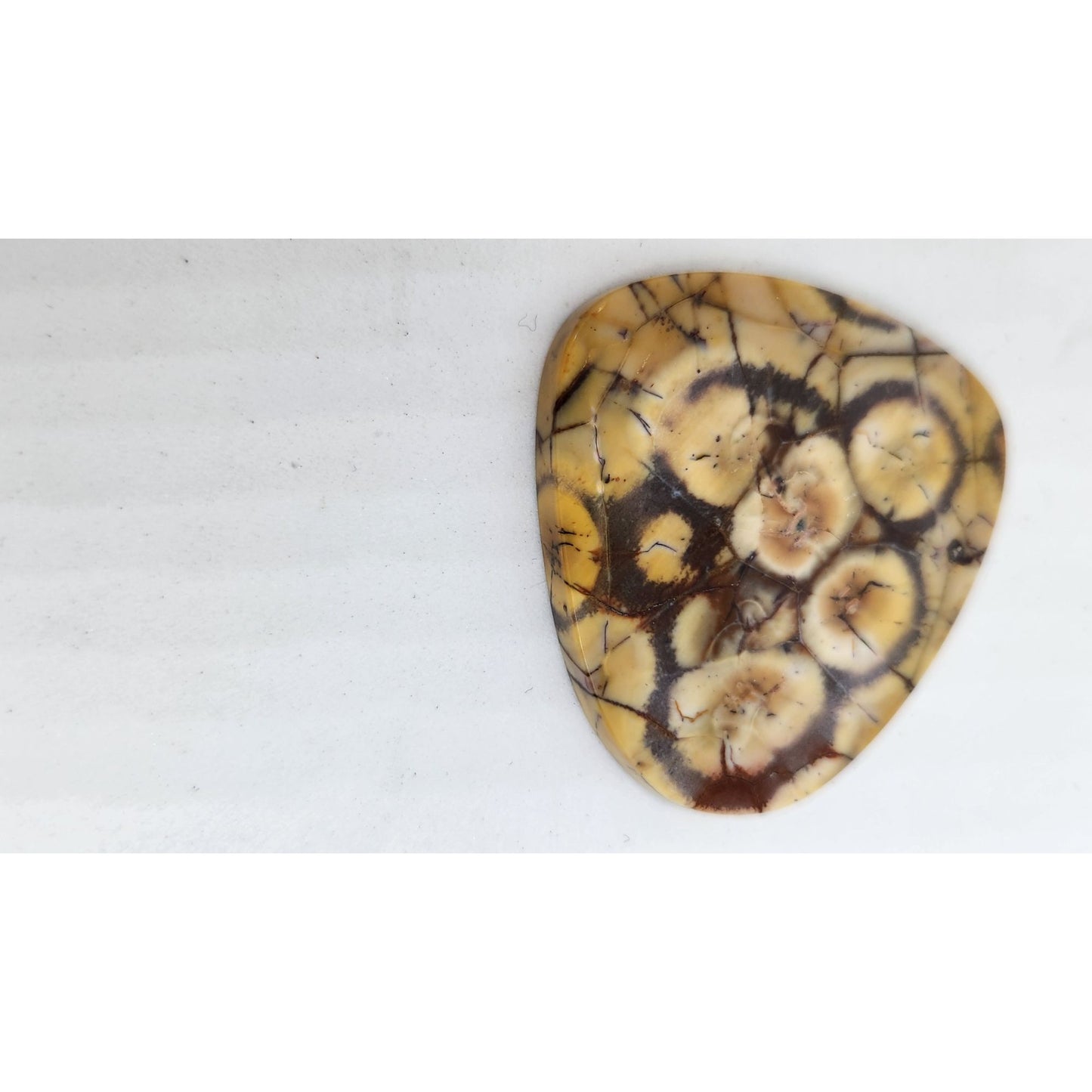 Gemstone Loose Peanut Wood Stone Bracelet  Pendant size  43.5 ct  8.7 gr