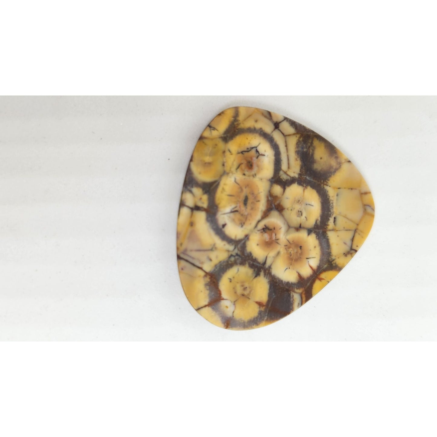 Gemstone Loose Peanut Wood Stone Bracelet  Pendant size  43.5 ct  8.7 gr