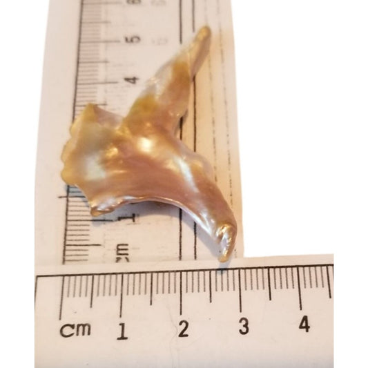Loose Baroque Bird Wimgs Freshwater Keshi 24 ct  4.8 gr  5.5 cm  x 3 cm