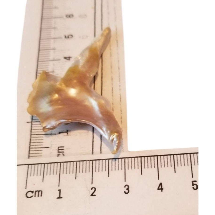 Loose Baroque Bird Wimgs Freshwater Keshi 24 ct  4.8 gr  5.5 cm  x 3 cm