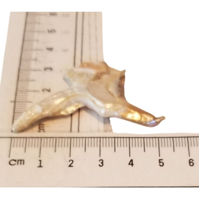 Loose Baroque Bird Wimgs Freshwater Keshi 24 ct  4.8 gr  5.5 cm  x 3 cm