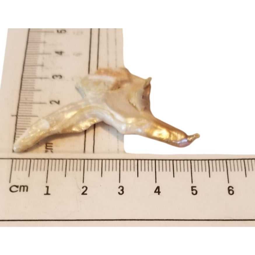 Loose Baroque Bird Wimgs Freshwater Keshi 24 ct  4.8 gr  5.5 cm  x 3 cm