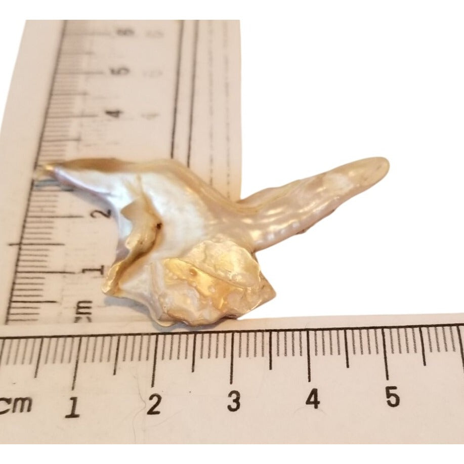 Loose Baroque Bird Wimgs Freshwater Keshi 24 ct  4.8 gr  5.5 cm  x 3 cm